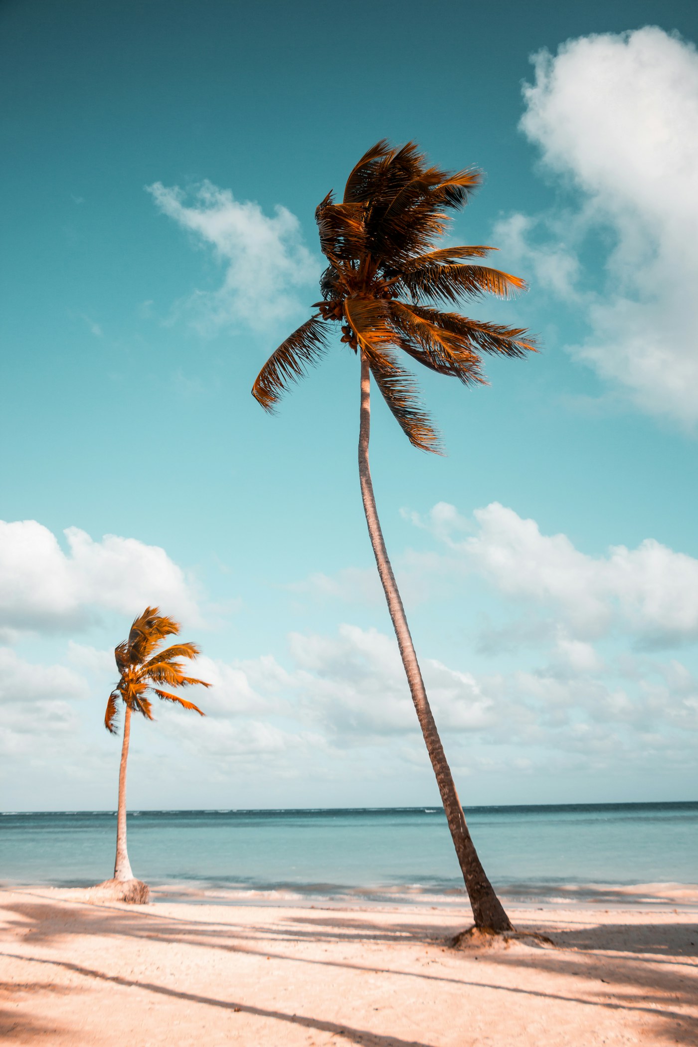 Quiet white sand beach and clear ocean
