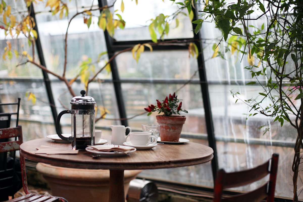 Coffee served on a sunlit tropical table